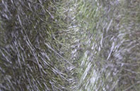 Whitchurch Hill fibreglass roof work